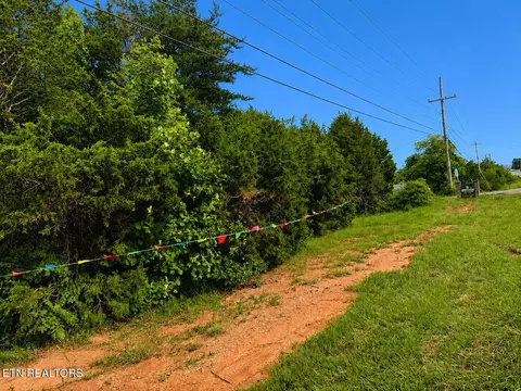 6997 W 6989 W Andrew Johnson 111 Britton Hwy, Talbott, TN 37877 photo 3