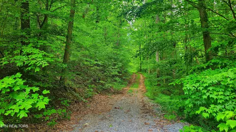 lot50 S Highway 340, Parrottsville, TN 37843