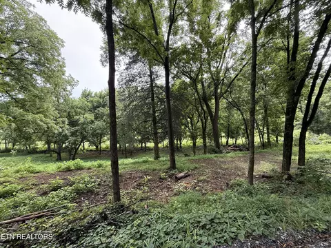 lot1 Mitchell Rd, New Market, TN 37820