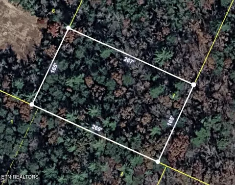 Lower Smithfield Rd, Tellico Plains, TN 37385