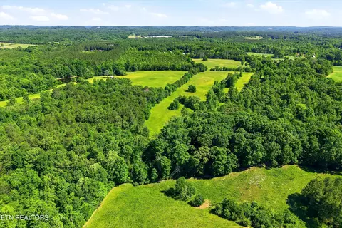 6 Tennessee 163, Riceville, TN 37370