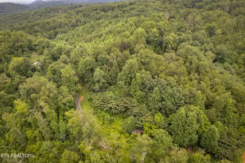 lot2 Verless Ogle Rd, Sevierville, TN 37876 photo 5