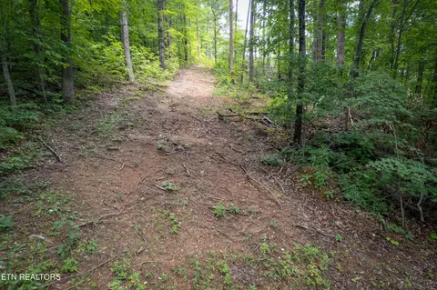 lot2 Verless Ogle Rd, Sevierville, TN 37876 photo 14