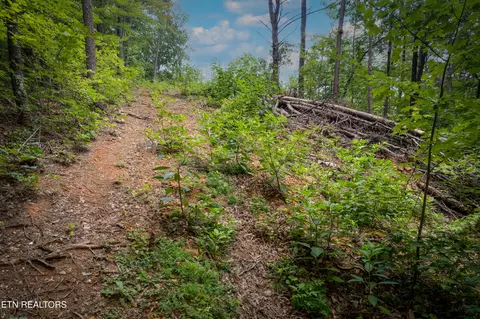lot2 Verless Ogle Rd, Sevierville, TN 37876 photo 15