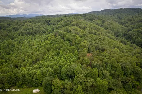lot2 Verless Ogle Rd, Sevierville, TN 37876 photo 18
