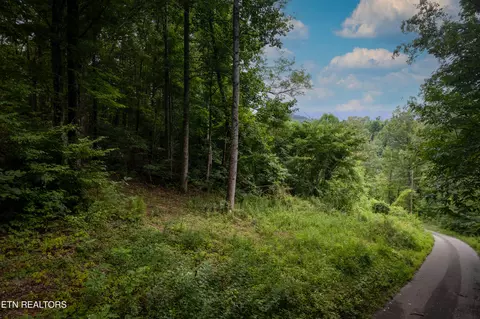lot2 Verless Ogle Rd, Sevierville, TN 37876 photo 13
