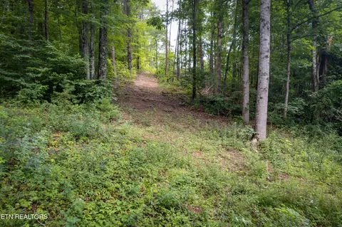lot2 Verless Ogle Rd, Sevierville, TN 37876 photo 12