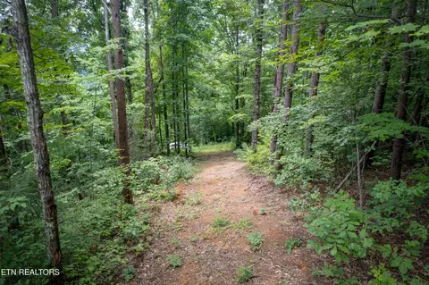 lot2 Verless Ogle Rd, Sevierville, TN 37876 photo 16