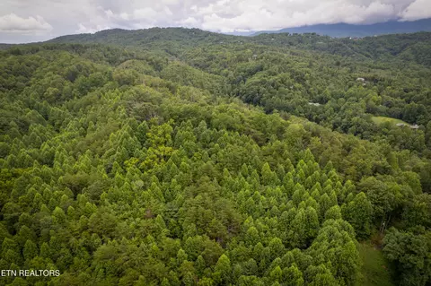 lot2 Verless Ogle Rd, Sevierville, TN 37876 photo 19