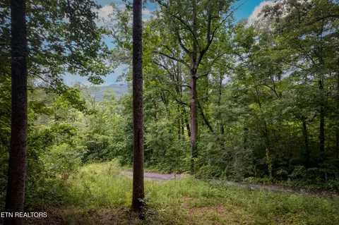 lot2 Verless Ogle Rd, Sevierville, TN 37876 photo 17