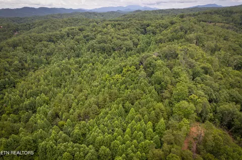 lot2 Verless Ogle Rd, Sevierville, TN 37876 photo 8