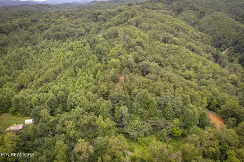 lot2 Verless Ogle Rd, Sevierville, TN 37876 photo 6