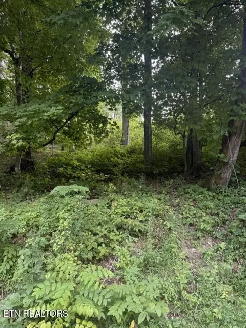 Cave Creek Rd Off Rd, Loudon, TN 37774