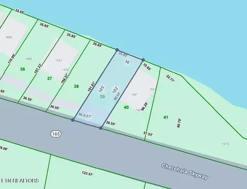 1665 Cherohala, Tellico Plains, TN 37385