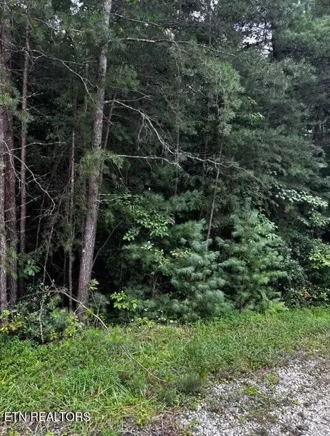 15 Minetta Ct, Crossville, TN 38558