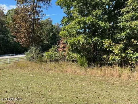 Appaloosa Trail, Rockwood, TN 37854