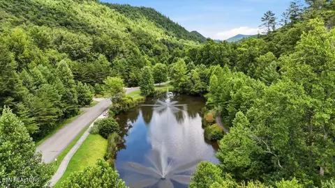 View/Area - 450 Mountain John Loop, Townsend, TN 37882 photo 2 of 3