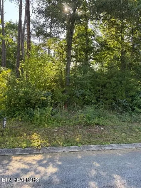 7665 Pennyroyal Dr, Knoxville, TN 37920