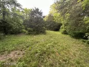 Carlos Rd, Sneedville, TN 37869