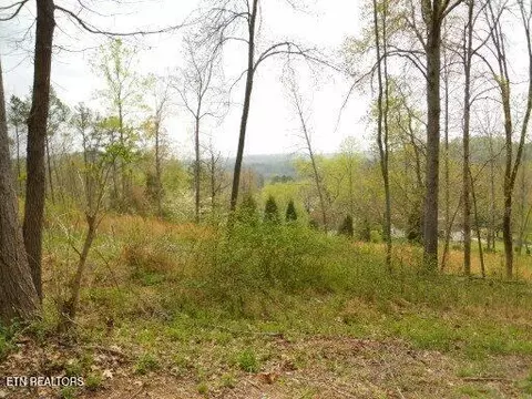 Vann Drive, Harriman, TN 37748