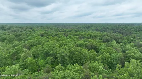 Laurel Loop, Monterey, TN 38574 photo 3