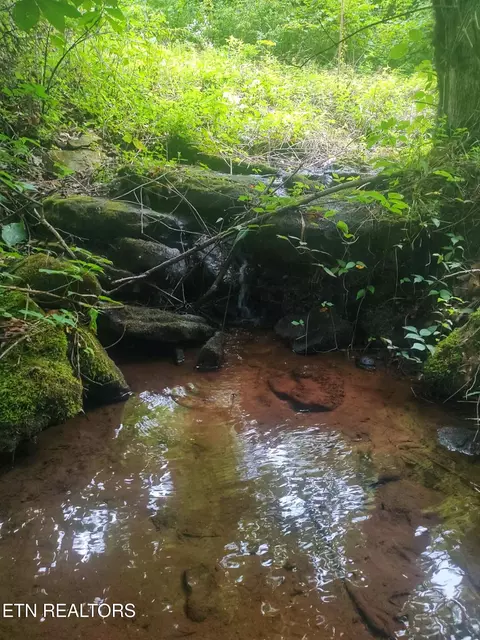 18 5 Acres Raccoon Ridge Rd, Spring City, TN 37381