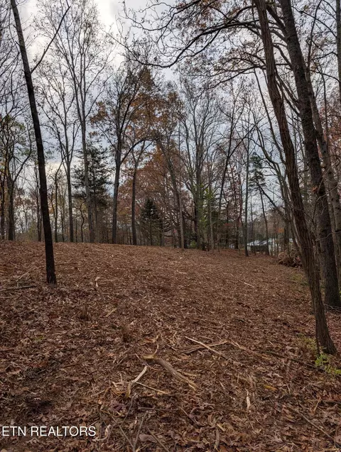 midway rd LOT 3-4, Strawberry Plains, TN 37871
