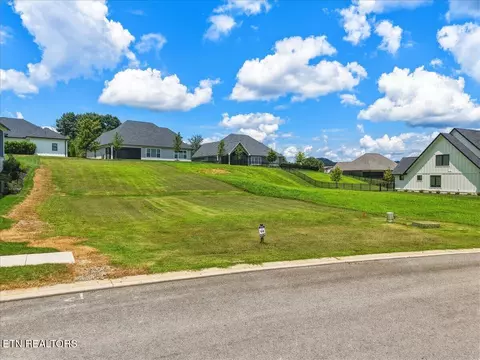 1000 Eagle Point Dr, Loudon, TN 37774 photo 7