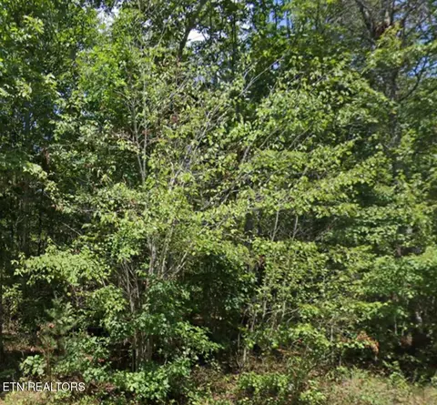 4010 Saponac Dr, Crossville, TN 38572