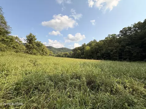 000 Flower Gap Rd, Blackwater, VA 24221