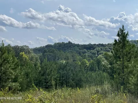 Ridgeline Drive, Vonore, TN 37885