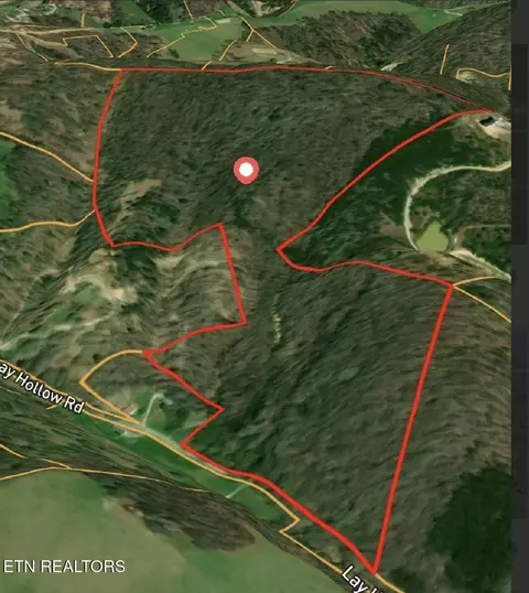 lay hollow rd, Sharps Chapel, TN 37866