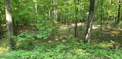 244 Gadusi Way, Loudon, TN 37774