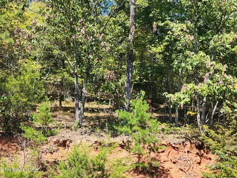 lot609 Chimney Rock Rd, New Tazewell, TN 37825