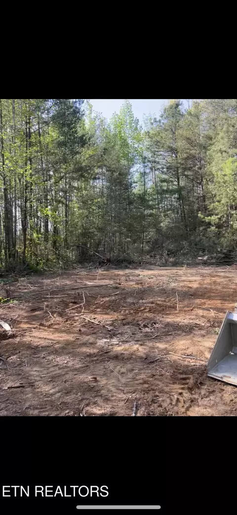 Country Cove Way, Cosby, TN 37722