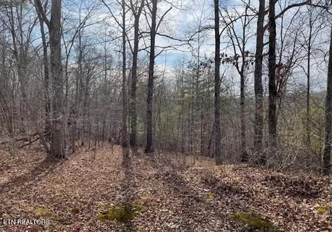 67 86 Ac Junior Cox Rd, Deer Lodge, TN 37726