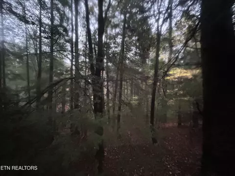 Wilder Rd, Clarkrange, TN 38553 photo 3