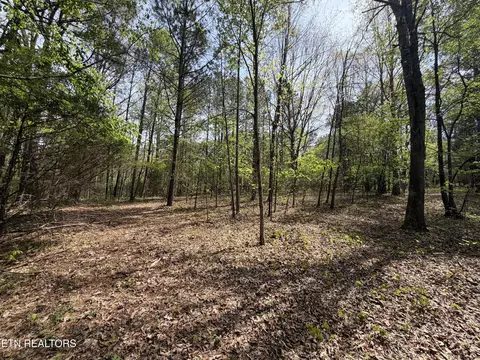 7836 Dry Valley Rd, Loudon, TN 37774