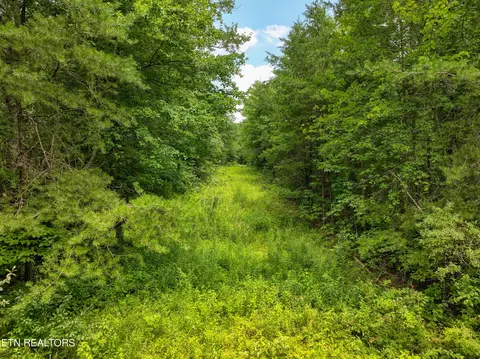 52 88 Ac Nashville Hwy, Deer Lodge, TN 37726