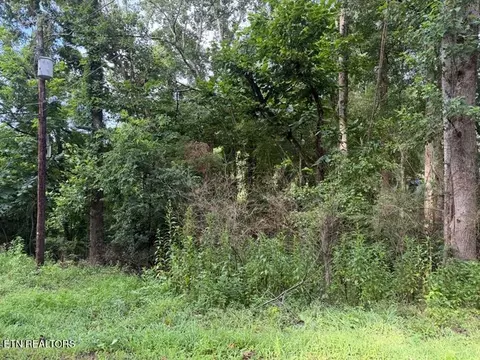 Black Jack Rd, Rockwood, TN 37854
