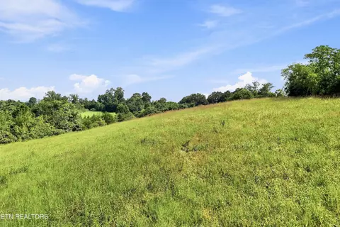 tbd Holston River Dr, Rutledge, TN 37861 photo 16