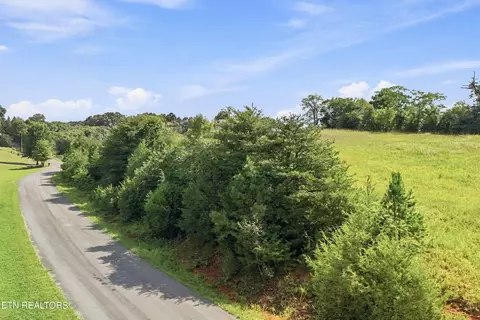 tbd Holston River Dr, Rutledge, TN 37861 photo 6