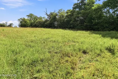 tbd Holston River Dr, Rutledge, TN 37861 photo 17