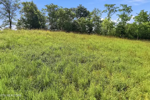 tbd Holston River Dr, Rutledge, TN 37861 photo 5