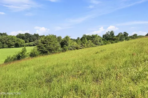 tbd Holston River Dr, Rutledge, TN 37861 photo 15