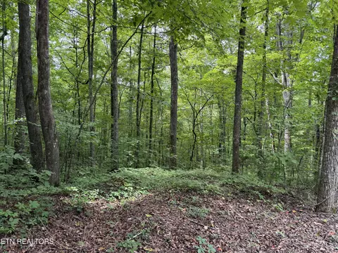lot36 Bass Haven Dr, Sharps Chapel, TN 37866