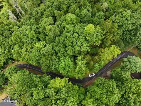920 Black Gum Gap Rd, Gatlinburg, TN 37738