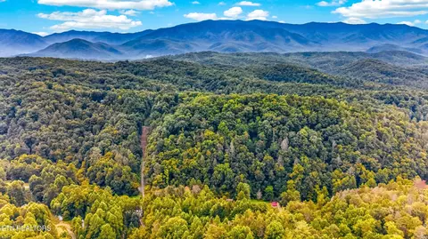 Chavis Rd, Cosby, TN 37722