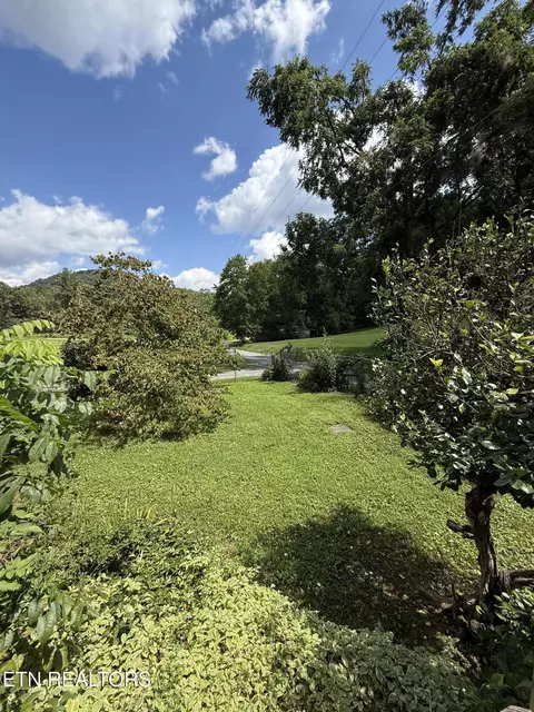 Exterior - 353 Cotula Rd, Duff, TN 37729 photo 3 of 8