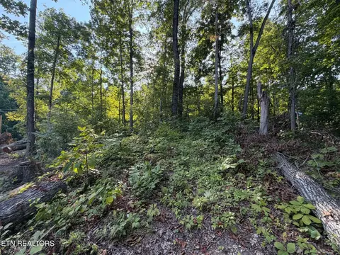 Center Lane, New Tazewell, TN 37825